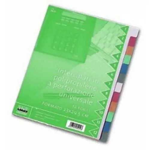 Intercalari Divisori A4 con 12 Tasti Colorati – Organizzazione Efficiente - Archiviazione