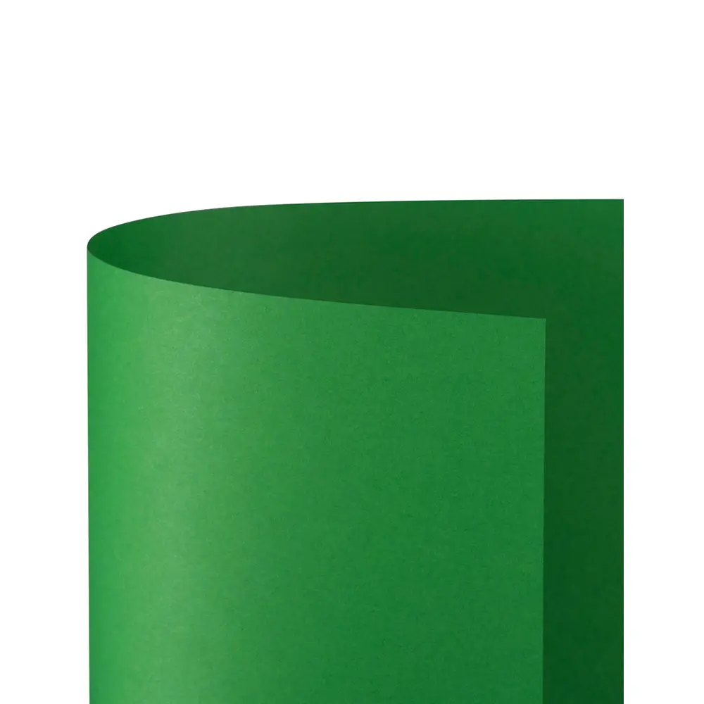 Cartoncino Bristol Liscio 200 gr - 25 Fogli 50x70 cm - Verde - Carta e cartoncino