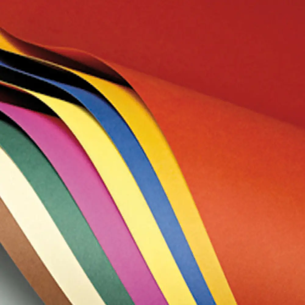 Cartoncino Bristol Liscio 200 gr – Set 5 Colori - 25 Fogli 50x70 cm - Carta e cartoncino