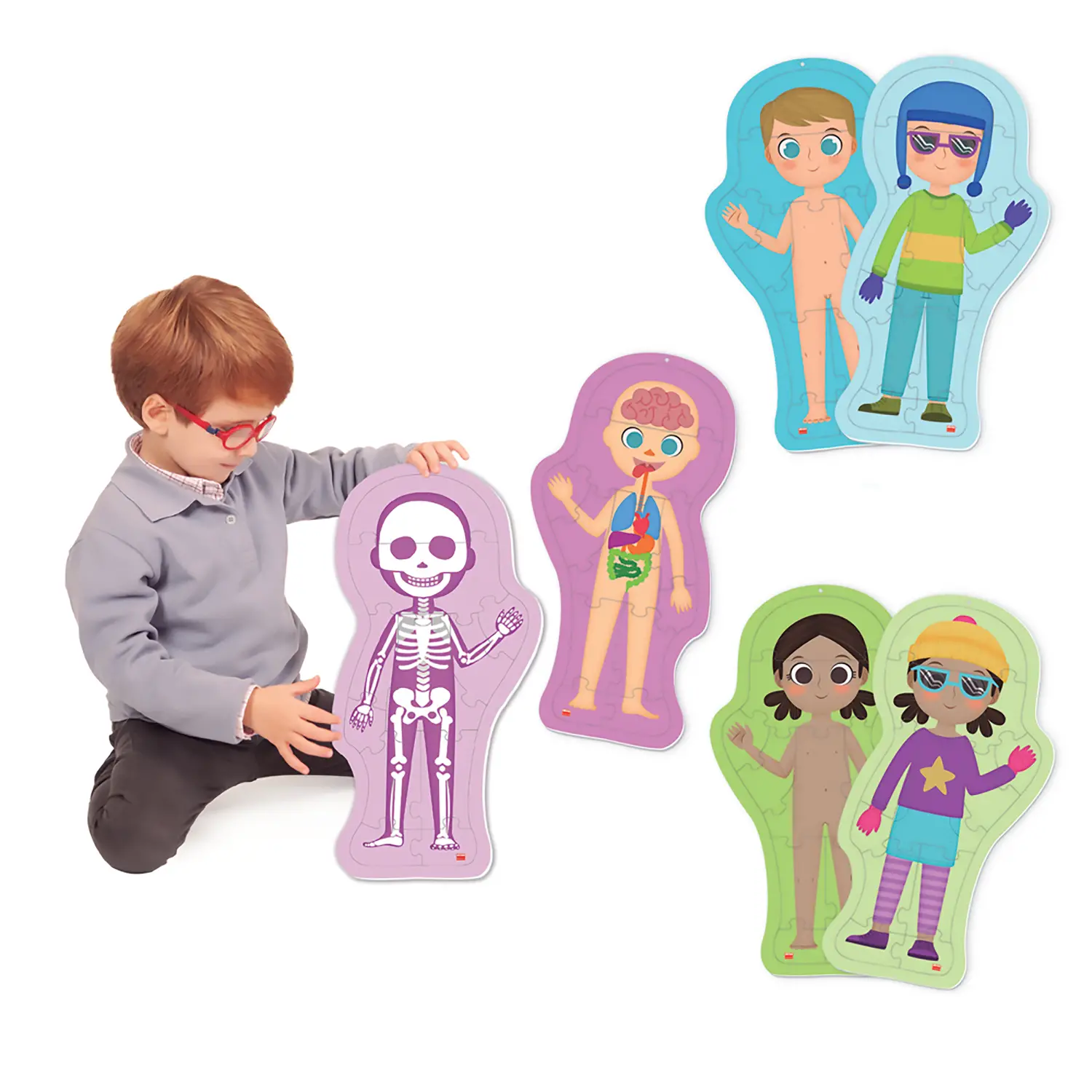 Puzzle del Corpo Umano – 36 Tessere Educativo per Bambini - II corpo umano