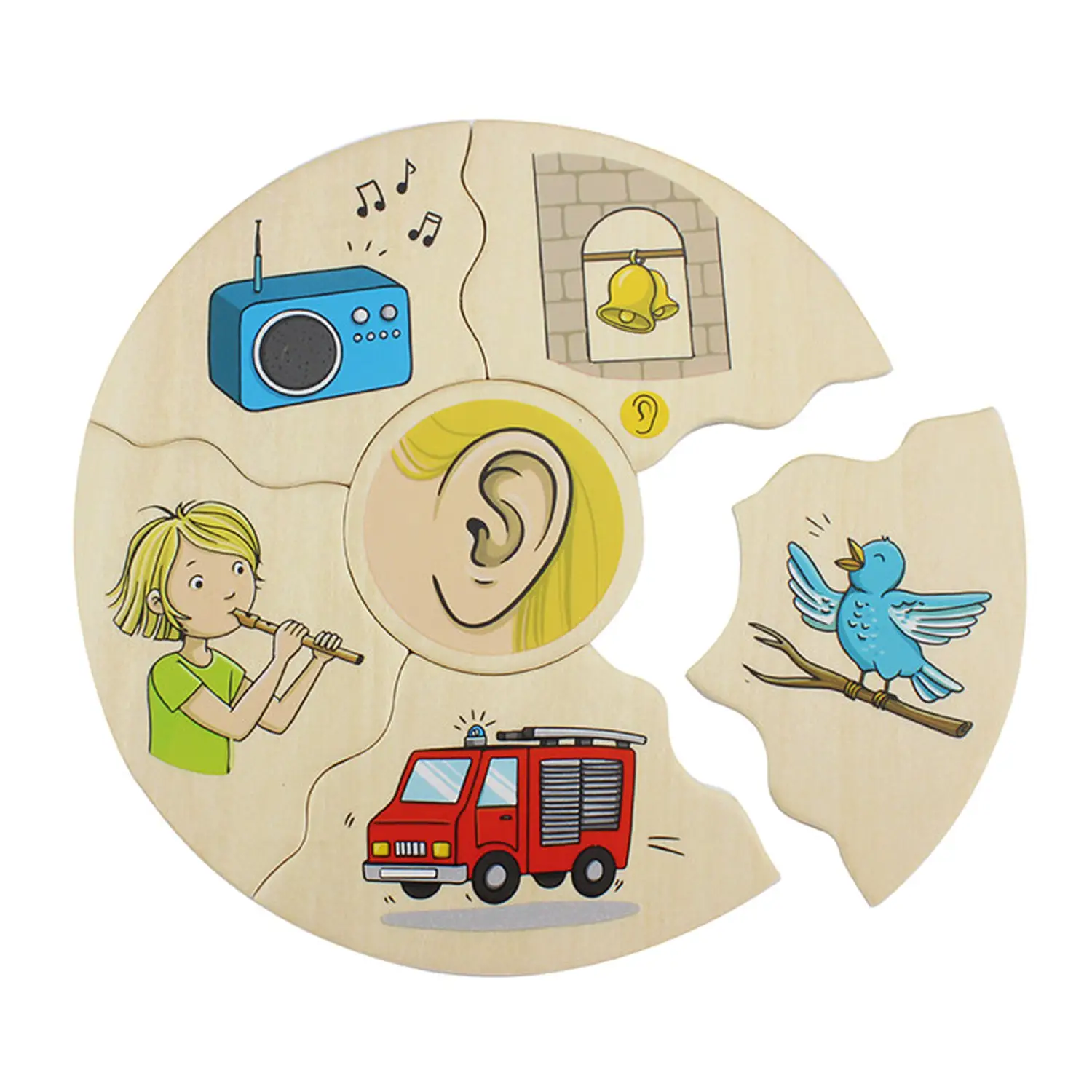 Puzzle “I 5 Sensi” – Gioco Educativo in Legno - Associazioni e tombole