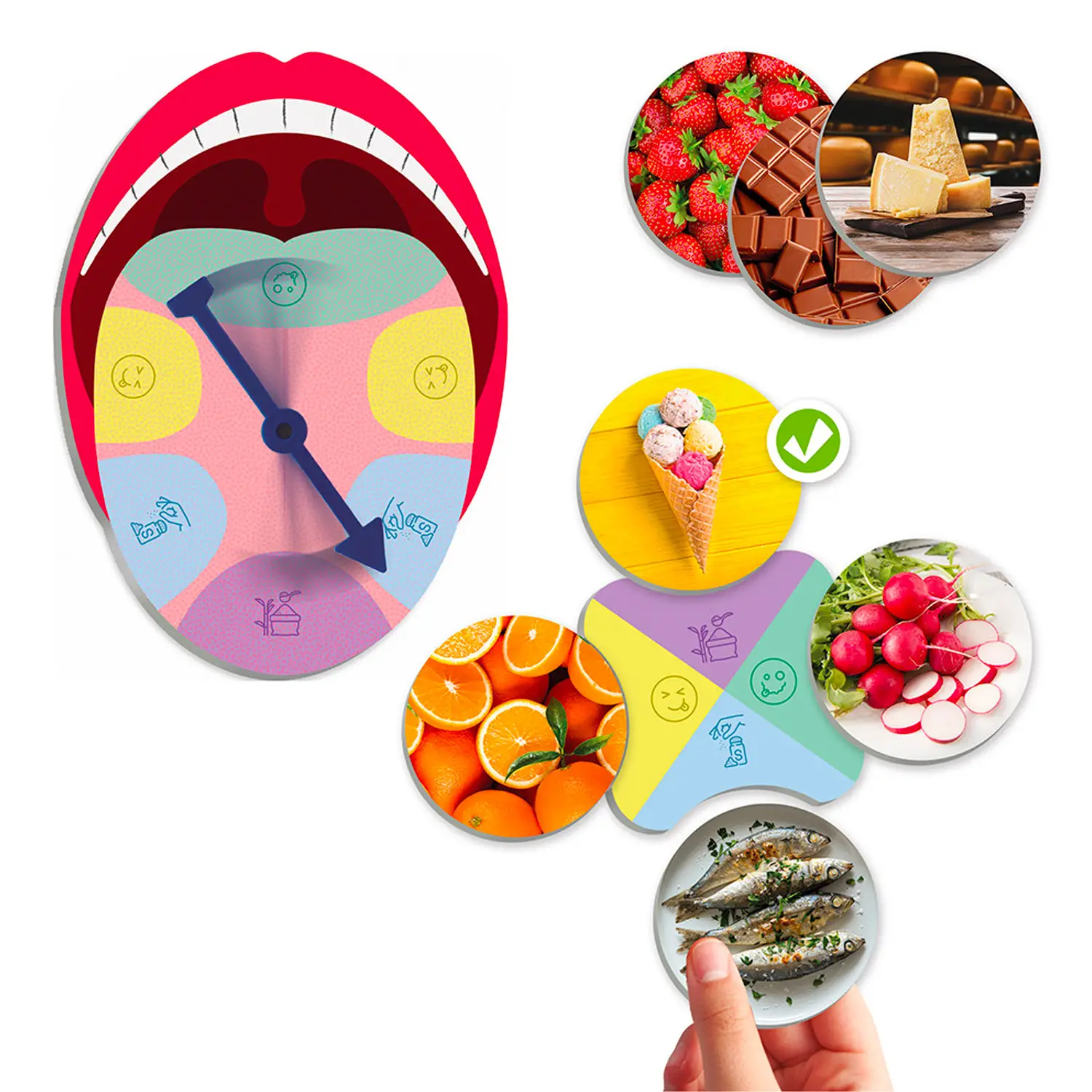 Scopri il Senso del Gusto e i Sapori – 40 Tessere + Ruota - Associazioni e tombole