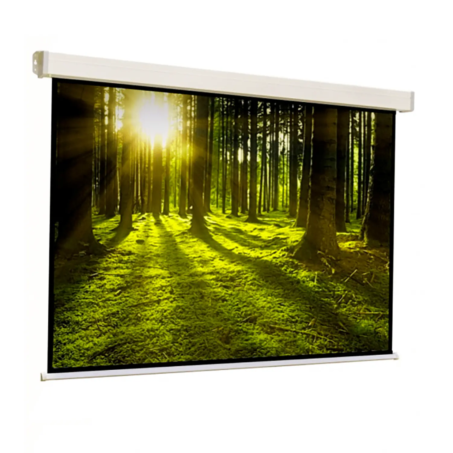 Schermo A Parete Cm. 240x240 - Dispositivi audiovisivi