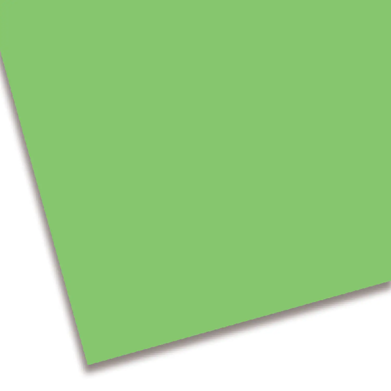 Cartoncino Colorato Premium Liscio 50x70 cm Verde Chiaro – 200 g/m² FSC - Carta e cartoncino