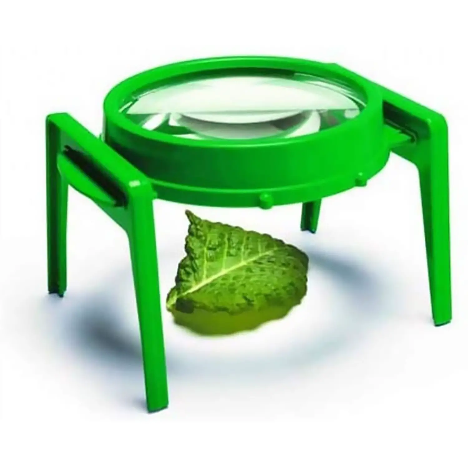 Scopri il Mondo in Grande con l'Ingranditore Grande Invicta - Geografia e scienze naturali