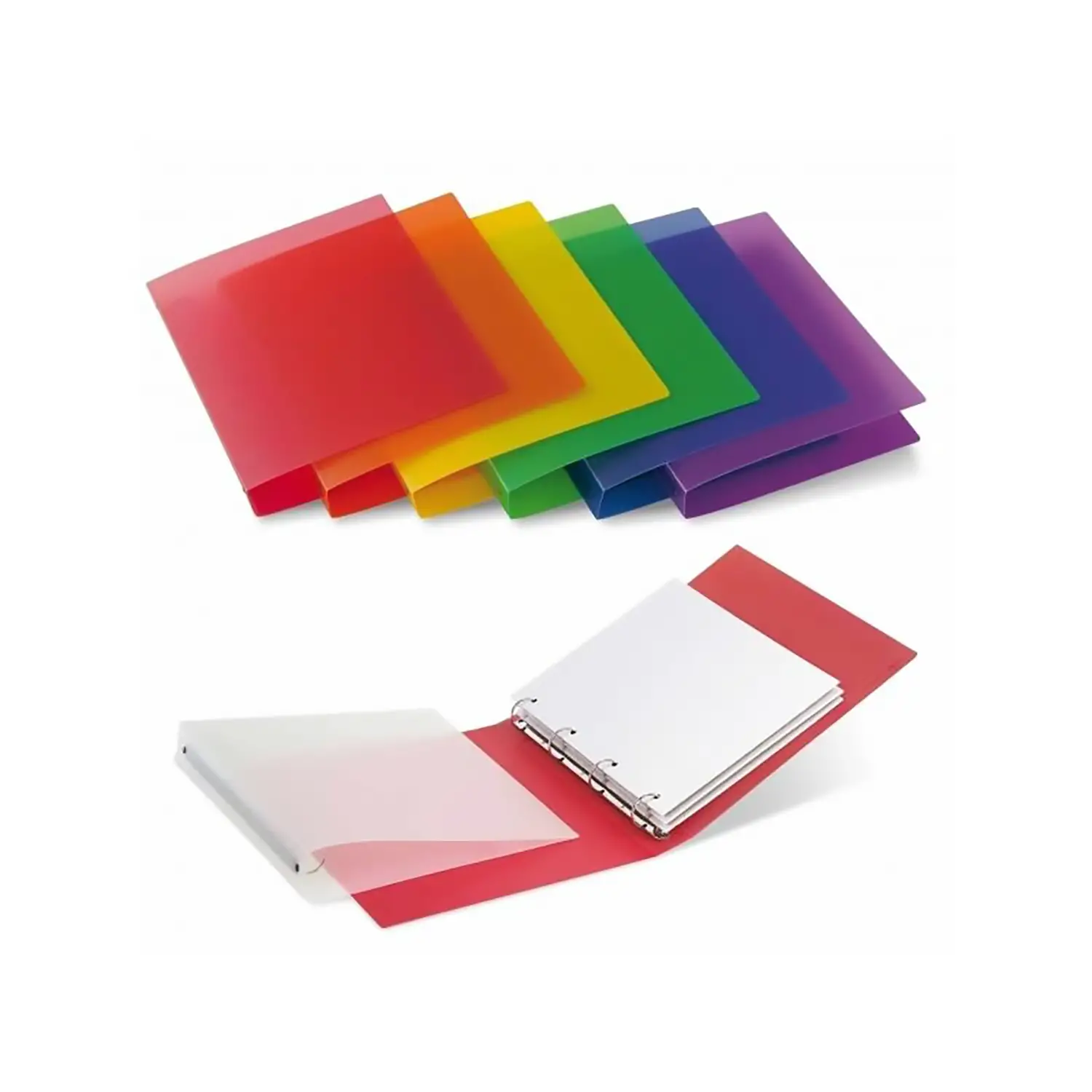 Raccoglitore Colorato in Polipropilene con 4 Anelli – 25x31 cm - Archiviazione