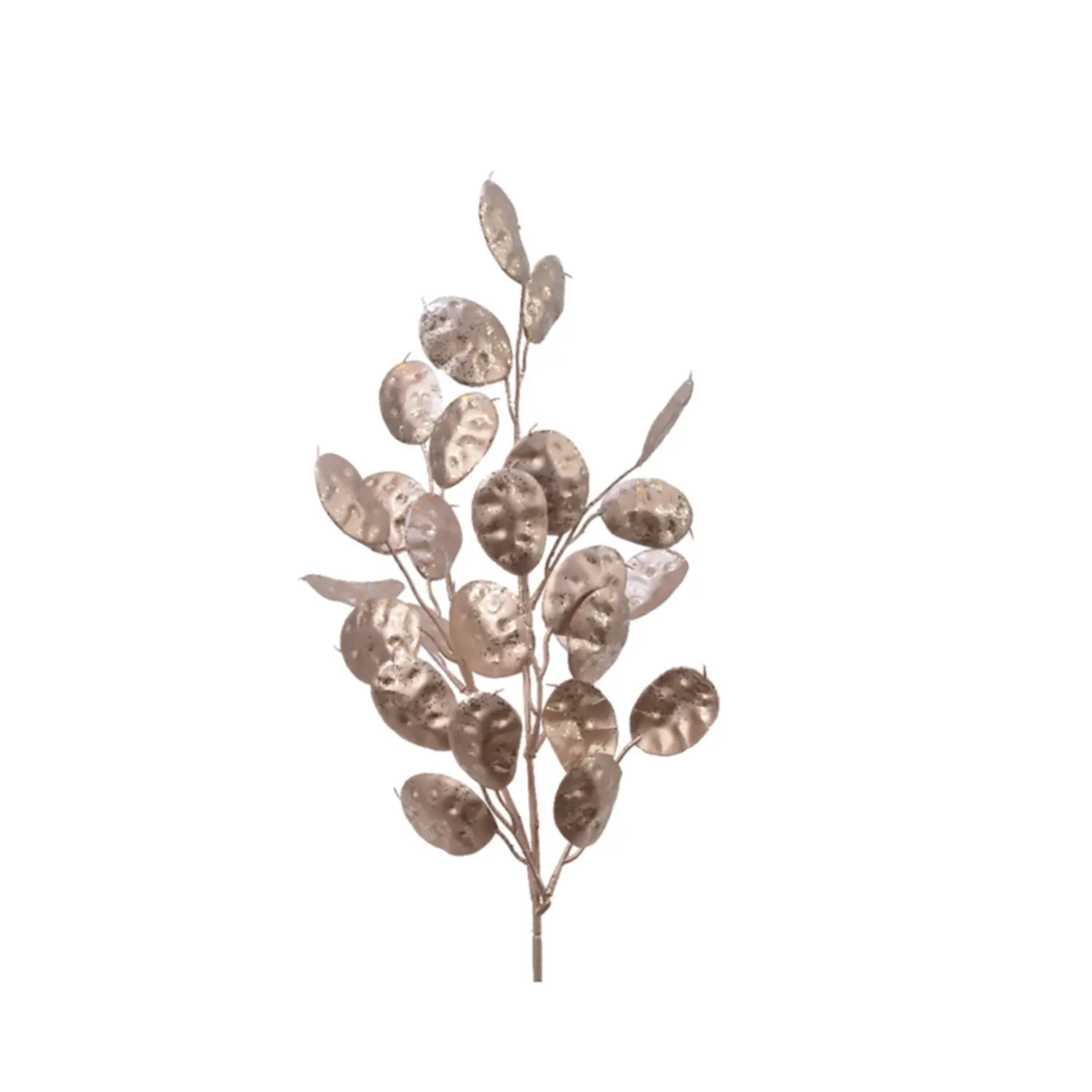 Ramo Decorativo Silver Dollar Champagne - fiori e ghirlande