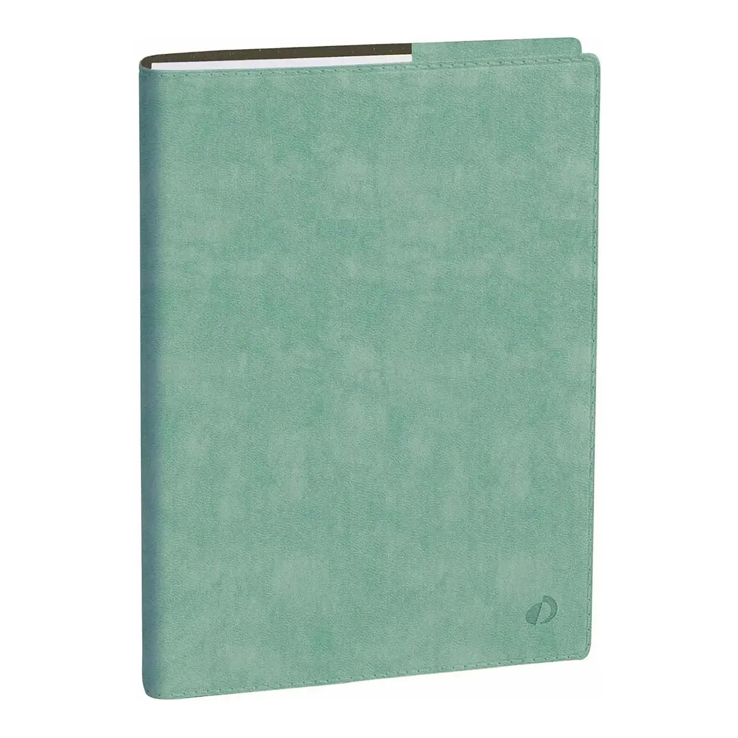 Agenda 2026 Professore - Bisettimanale, Italiano, Rub Roma Acquamarina - agende