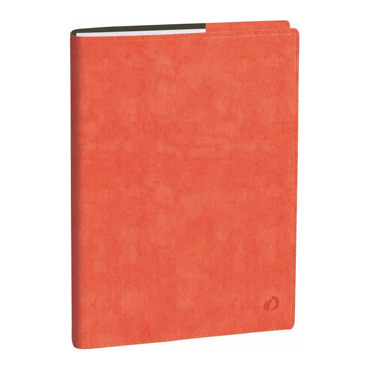 Agenda 2026 Professore - Bisettimanale, Italiano, Rub Roma Rosa Corallo - agende