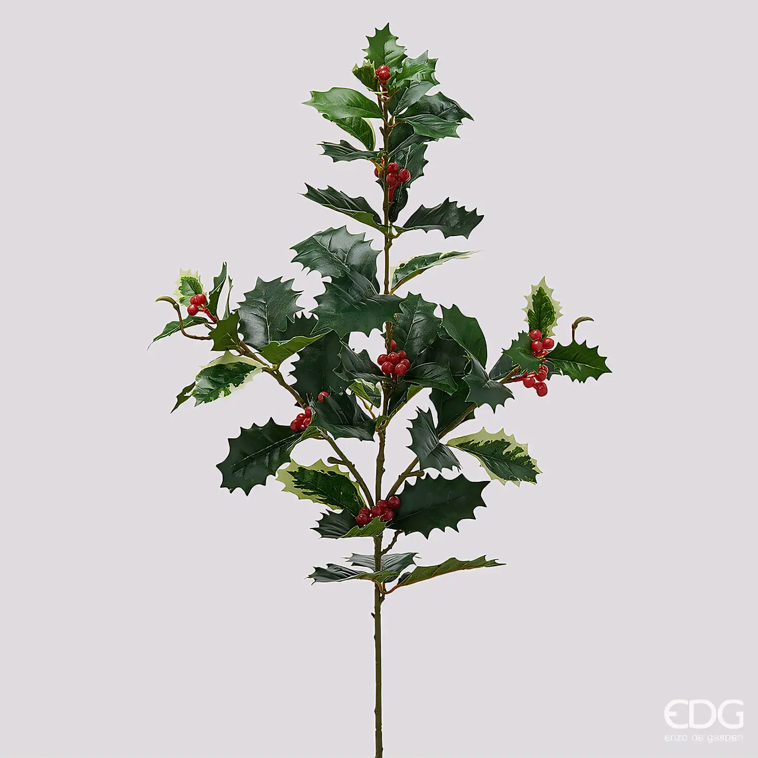 EDG Ramo Agrifoglio con Bacche Rosse H75 cm - fiori e ghirlande