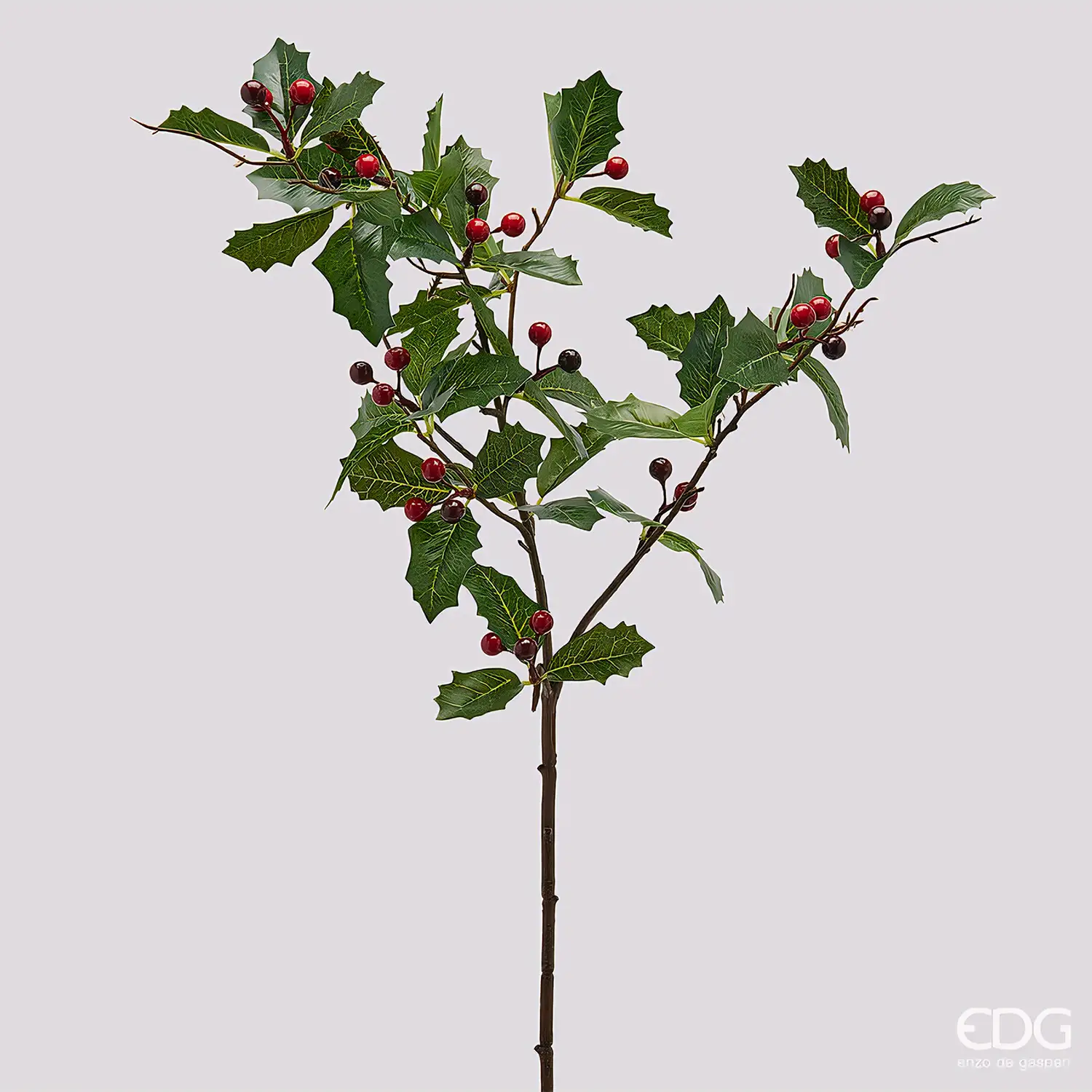 EDG Ramo Agrifoglio con Bacche Rosse H77 cm - fiori e ghirlande