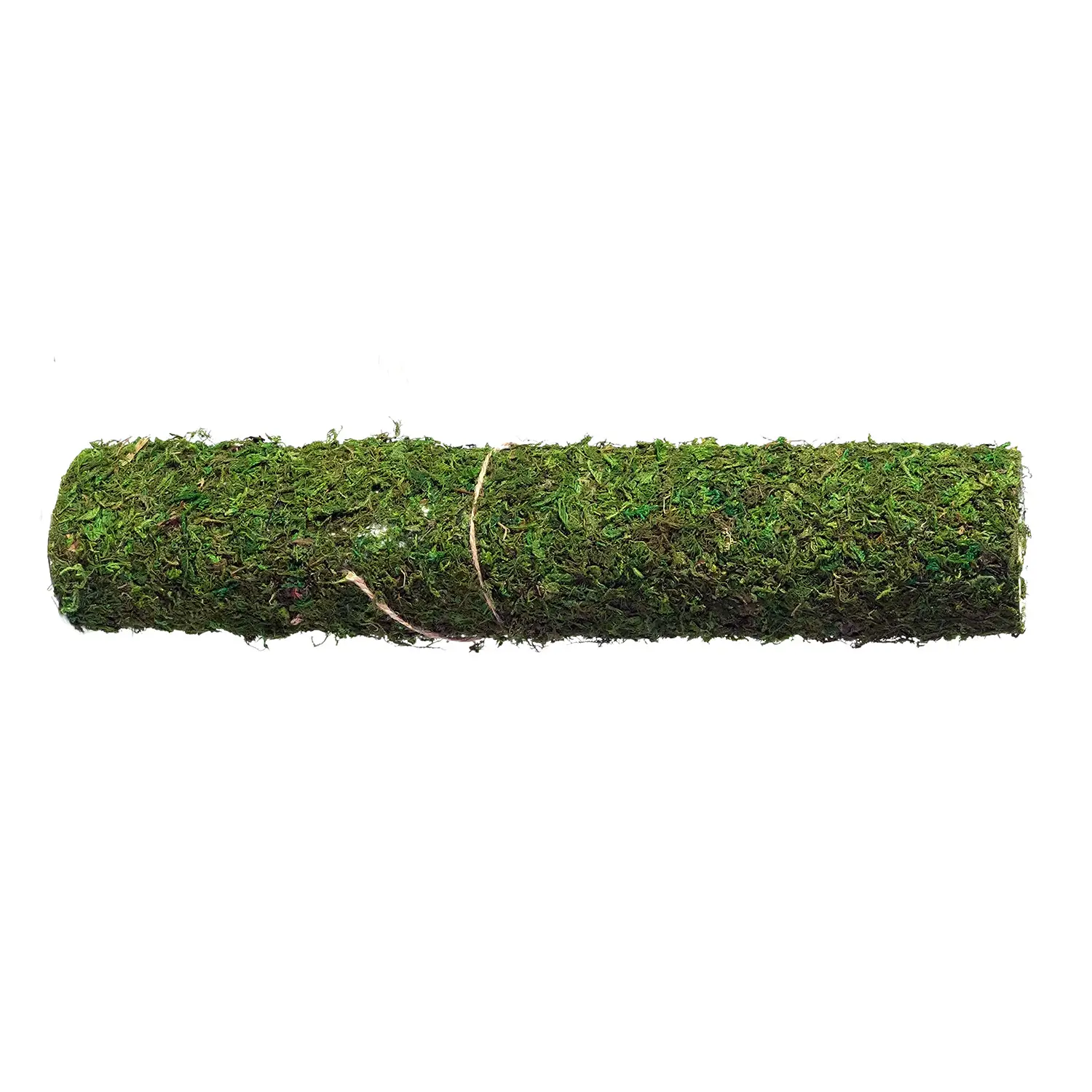Foglio Carta Muschio Verde Per Presepe con Adesivo 40x90 cm - presepi