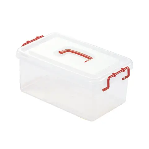 Contenitore Trasparente con Coperchio Grande