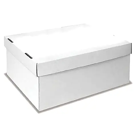 Scatola in Cartone Bianco cm. 31x23x14