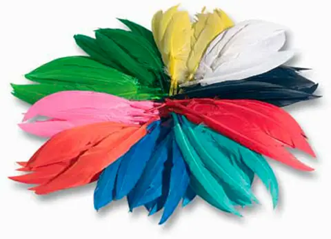 Piume Indiane 12/20cm. 100gr