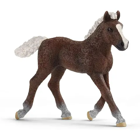 Schleich Puledro Foresta Nera