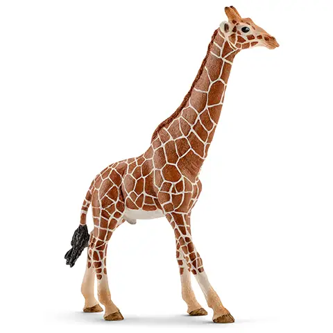 Schleich Giraffa Maschio