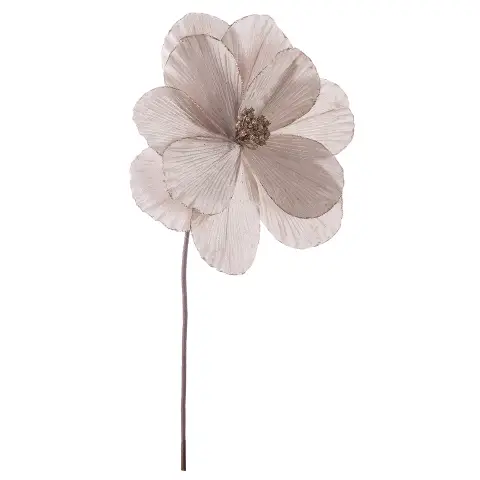 Magnolia Nicole Champagne 26x50h