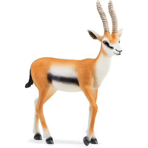 Schleich Gazzella Thomson