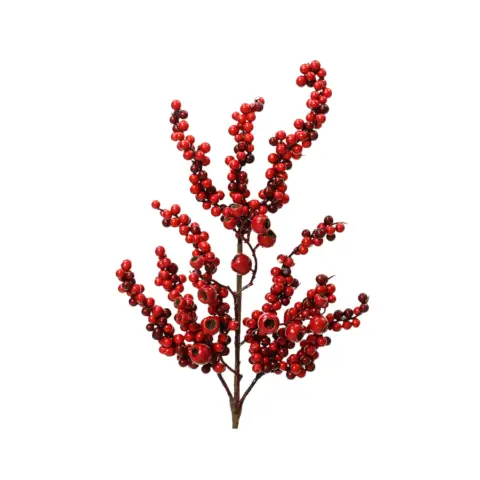 Ramo Bacche Rosse