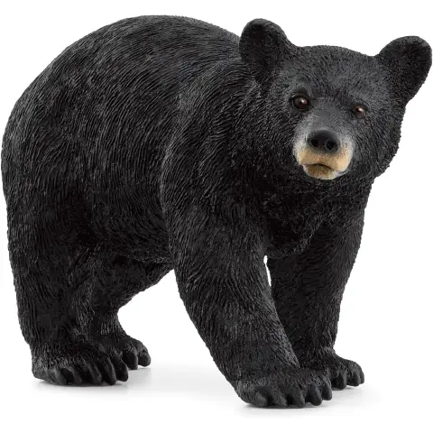 Schleich Orso Nero Americano