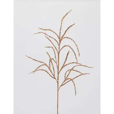 Amaranthus Ramo H.81 Cm