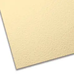 CARTONCINO COLORATO PREMIUM LISCIO-RUVIDO CM. 70X100 PANNA