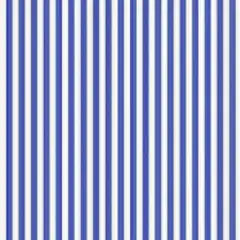 Cartoncino Rigato Blu/Bianco 300 gr/mq – Formato 50x70 cm – Carta Creativa