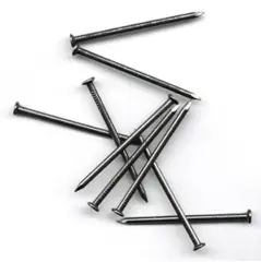 Chiodini a Testa Piatta 2 cm – 100 Grammi