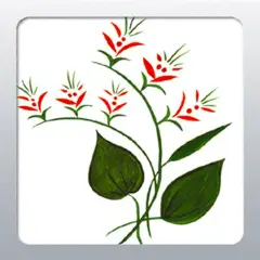 Decotransfer 3D – Fiori Rossi Autoadesivi