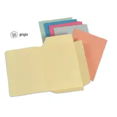 Cartelline 3 Lembi con Stampa 50Pezzi Grigio
