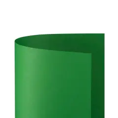 Cartoncino Bristol Liscio 200 gr - 25 Fogli 50x70 cm - Verde