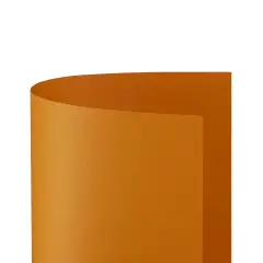 Cartoncino Bristol Liscio 200 gr - 10 Fogli 70x100 cm - Arancio