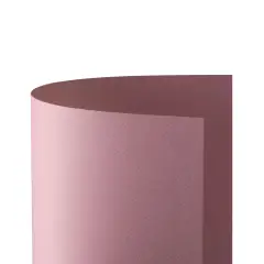 Cartoncino Prisma Monoruvido 220 gr - 20 Fogli 50x70 cm - Rosa
