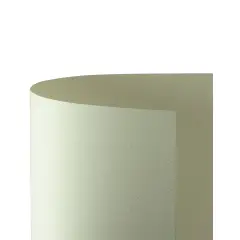 Cartoncino Prisma Monoruvido 220 gr - 20 Fogli 50x70 cm - Avorio