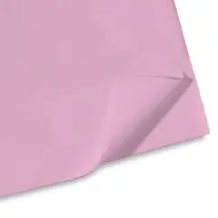 Carta Velina Giodicrea 50x70 24ff Rosa - Alta Qualità