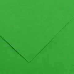 Cartoncino Vivaldi Canson 185 g/m² - 50 Fogli A4 Verde Brillante