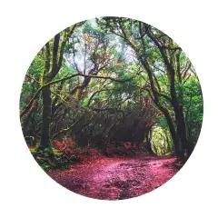 Tappetino Sensoriale “Alla scoperta della foresta” – Ø 62,5 cm