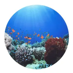 Tappetino Sensoriale “Ambiente sottomarino” – Ø 62,5 cm