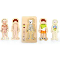 Puzzle a Strati Anatomia Ragazzo