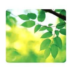 Mousepad Earth Series Foglie