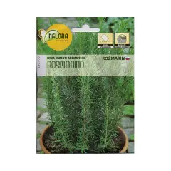 Semi per Orto: Rosmarino