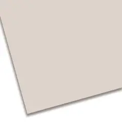 Cartoncino Colorato Premium Liscio – FSC, Colore Grigio, 70x100 cm