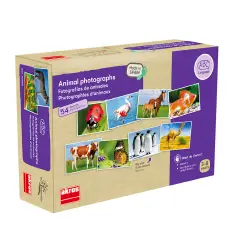 Fotografie Animali – Set Educativo per Esplorare il Mondo Naturale