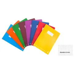 Quaderno Maxi Monocromo - 42 Fogli - Quadretto 5mm - Copertina in PPL (A4)