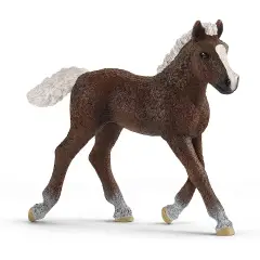 Schleich Puledro Foresta Nera