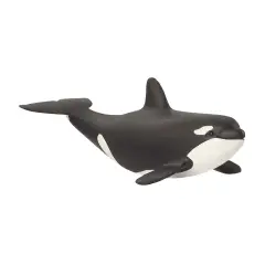 Schleich Cucciolo Di Orca