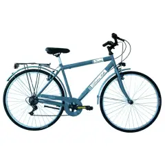 Bici per Adulti Bicicletta 28 Pollici Uomo City Bike Grigio
