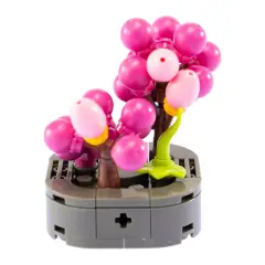 Mattoncini Pianta Esotica Nertera 78041