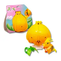 Brio Flora La Casa In Fiore Di Marigold